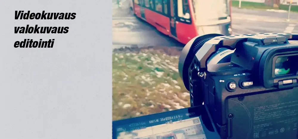 Punamusta  - Bad Pixel